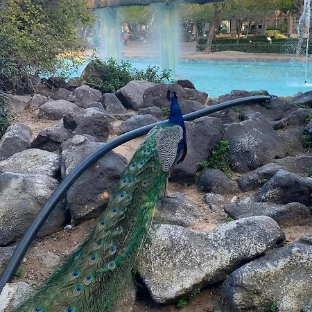 Felix De La Fuente Apartment