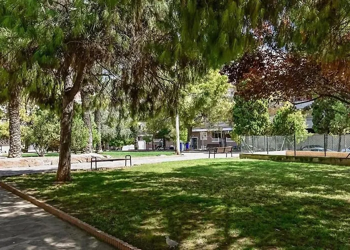 Félix De La Fuente Torrevieja