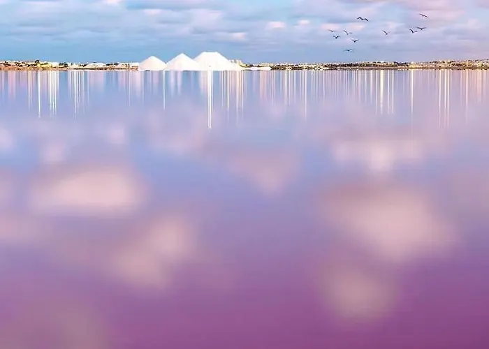 Félix De La Fuente Apartamento *