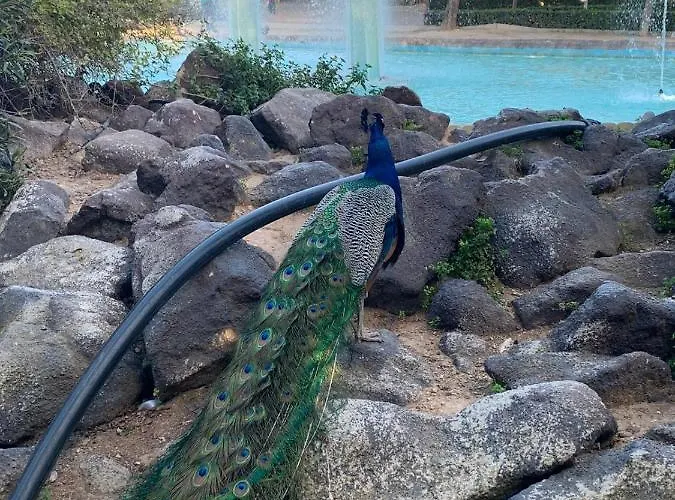 Félix De La Fuente Apartamento